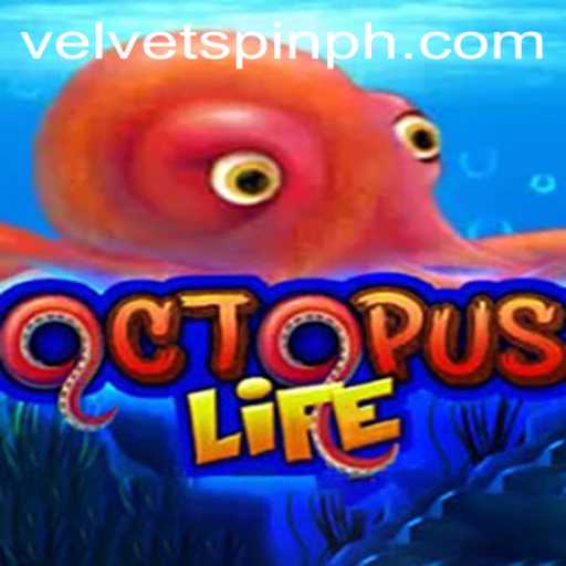 Discover the Underwater Adventures of OctopusLife